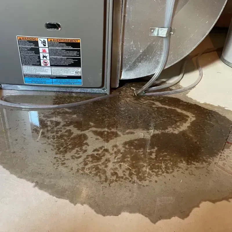 Appliance Leak Cleanup in Spring Grove, PA